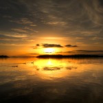Lough Erne Sunset Birds