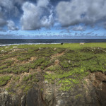 garethwray_our_island_opt
