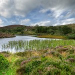 Heather Blossom Lake