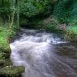 Mountain Stream