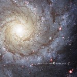 Spiral Galaxy