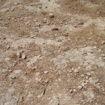 Jesus Path