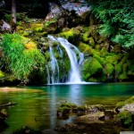 Lush waterfall