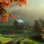 Foggy day on the farm