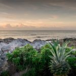 Rock view sea