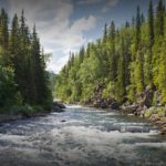 Rushing Stream